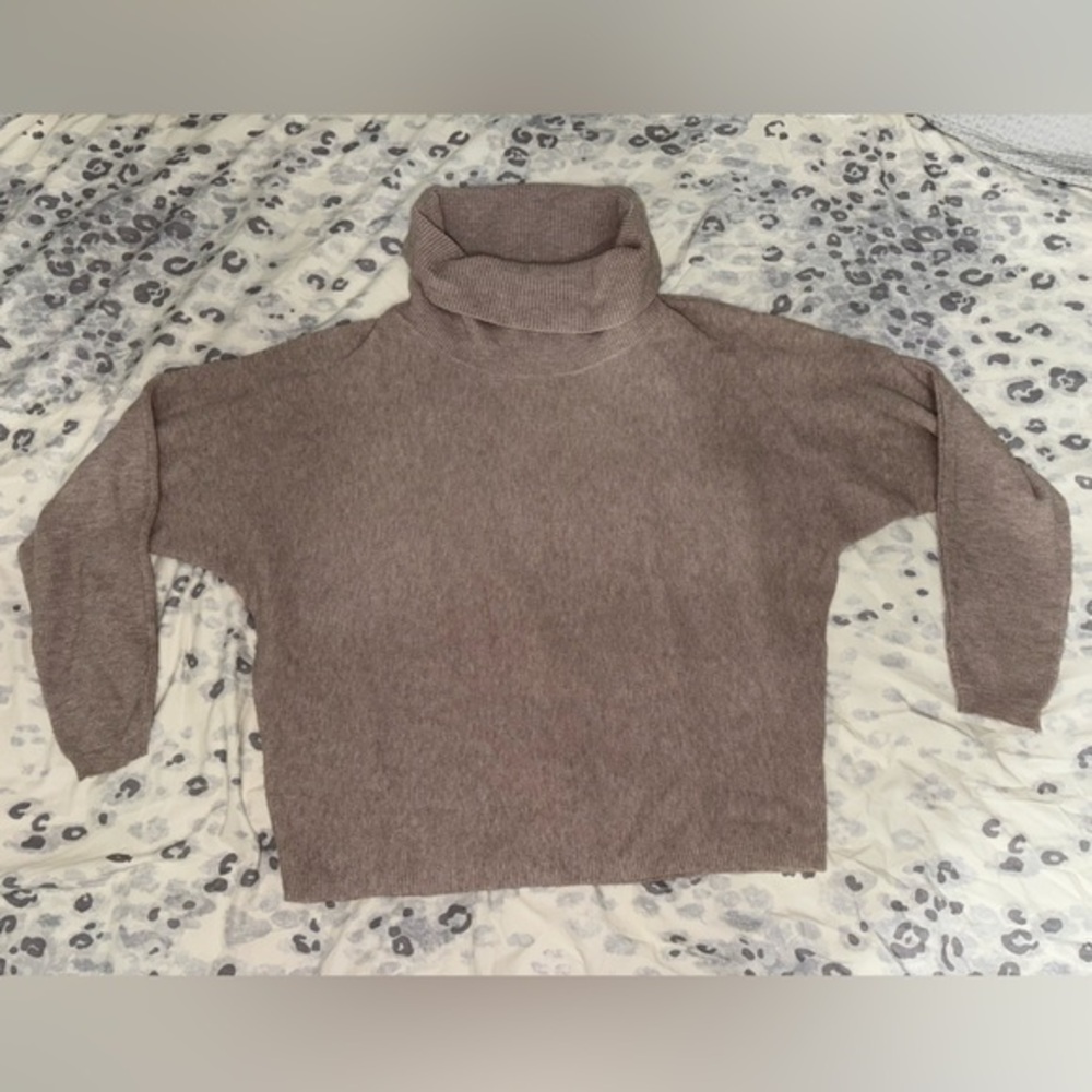 Cyrus Brown Turtleneck Sweater